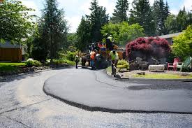 Best Driveway Snow Removal Preparation  in Davie, FL